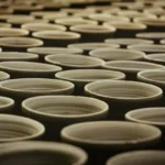 On Israeli Ceramics, and the Specific Voices of Contemporary Israeli Makers